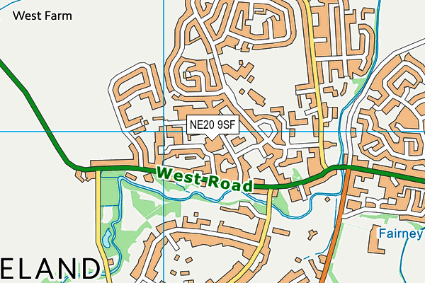 NE20 9SF map - OS VectorMap District (Ordnance Survey)