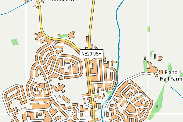 NE20 9SH map - OS VectorMap District (Ordnance Survey)