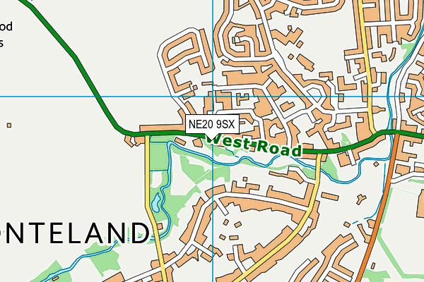 NE20 9SX map - OS VectorMap District (Ordnance Survey)