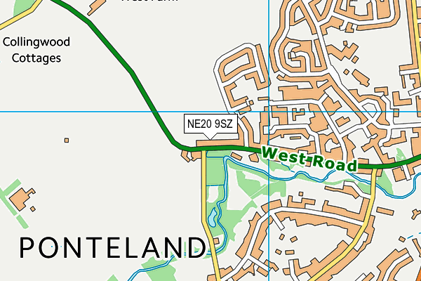 NE20 9SZ map - OS VectorMap District (Ordnance Survey)