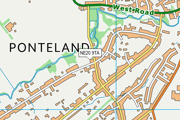 NE20 9TA map - OS VectorMap District (Ordnance Survey)