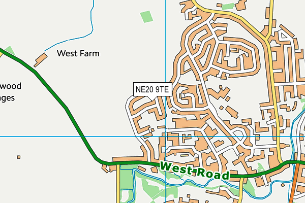 NE20 9TE map - OS VectorMap District (Ordnance Survey)