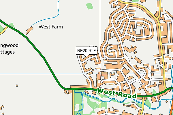 NE20 9TF map - OS VectorMap District (Ordnance Survey)