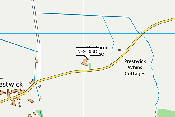 NE20 9UD map - OS VectorMap District (Ordnance Survey)