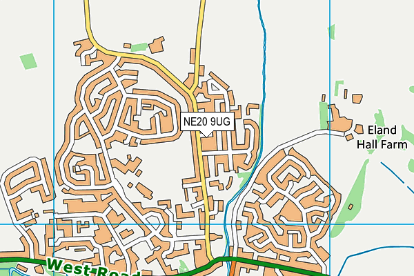 NE20 9UG map - OS VectorMap District (Ordnance Survey)