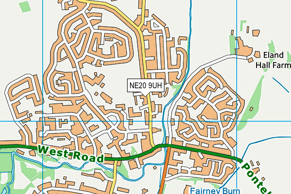 NE20 9UH map - OS VectorMap District (Ordnance Survey)