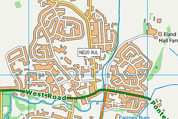 NE20 9UL map - OS VectorMap District (Ordnance Survey)