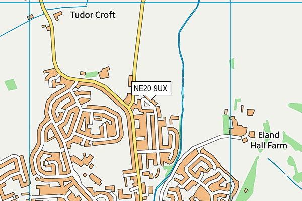 NE20 9UX map - OS VectorMap District (Ordnance Survey)