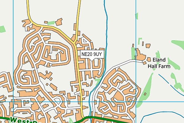 NE20 9UY map - OS VectorMap District (Ordnance Survey)