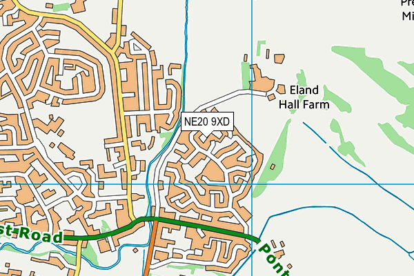NE20 9XD map - OS VectorMap District (Ordnance Survey)