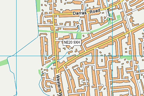 NE20 9XH map - OS VectorMap District (Ordnance Survey)