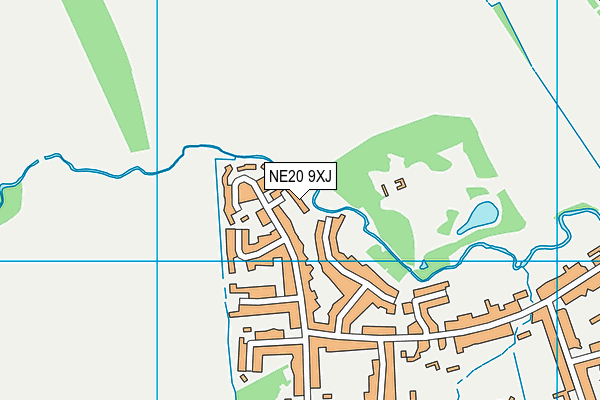 NE20 9XJ map - OS VectorMap District (Ordnance Survey)