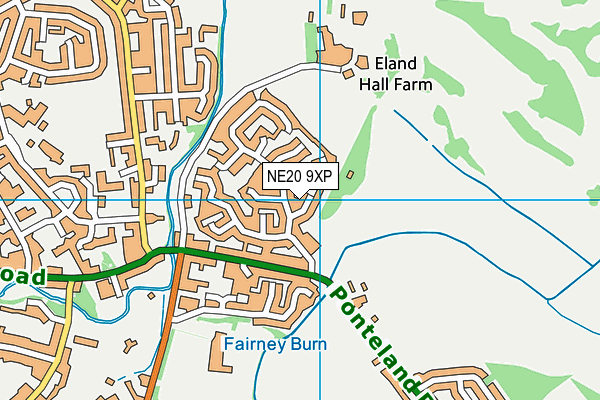 NE20 9XP map - OS VectorMap District (Ordnance Survey)