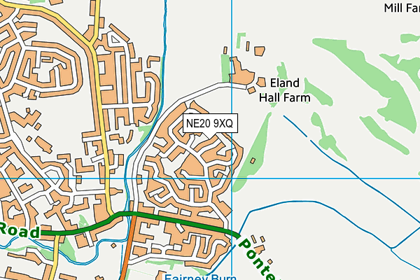 NE20 9XQ map - OS VectorMap District (Ordnance Survey)