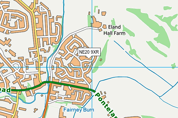 NE20 9XR map - OS VectorMap District (Ordnance Survey)