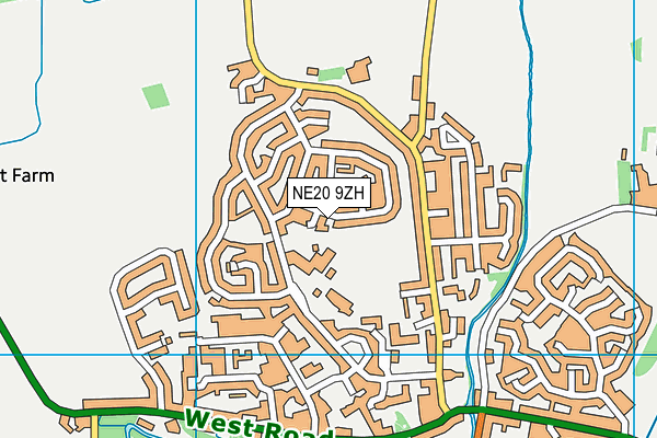 NE20 9ZH map - OS VectorMap District (Ordnance Survey)