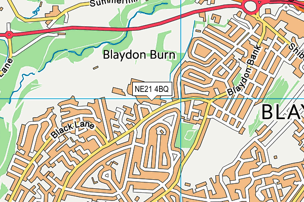 St Thomas More Catholic School, Blaydon map (NE21 4BQ) - OS VectorMap District (Ordnance Survey)