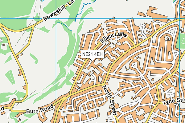 NE21 4EH map - OS VectorMap District (Ordnance Survey)