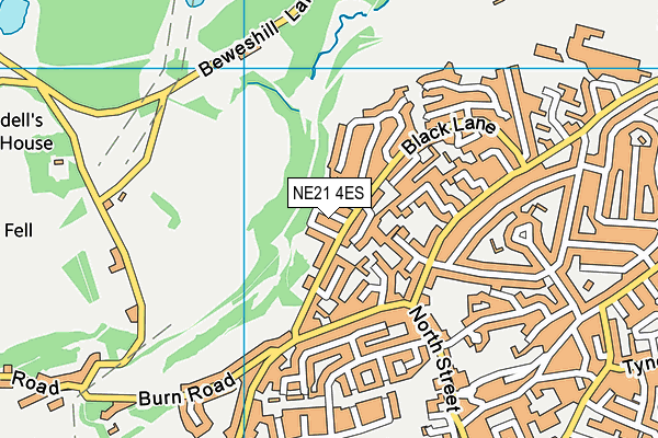 NE21 4ES map - OS VectorMap District (Ordnance Survey)
