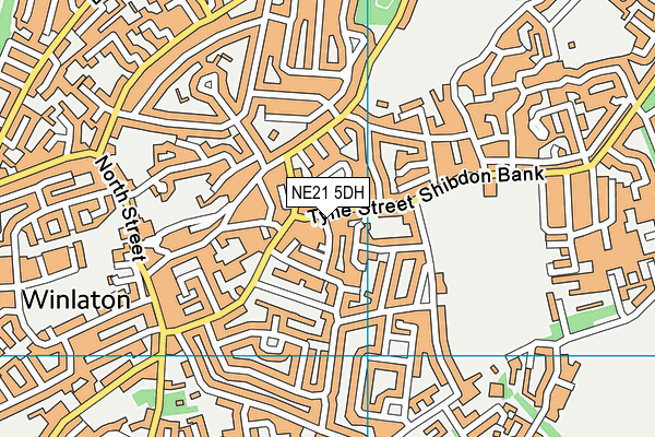 NE21 5DH map - OS VectorMap District (Ordnance Survey)
