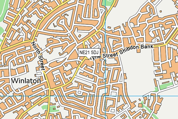 NE21 5DJ map - OS VectorMap District (Ordnance Survey)