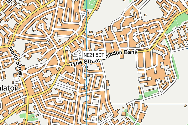 NE21 5DT map - OS VectorMap District (Ordnance Survey)
