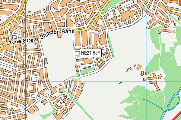 NE21 5JF map - OS VectorMap District (Ordnance Survey)