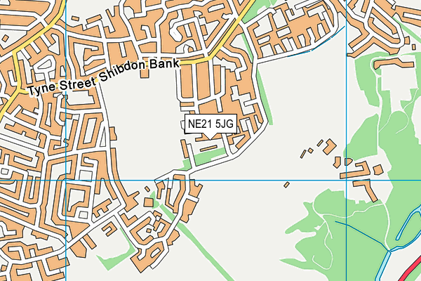 NE21 5JG map - OS VectorMap District (Ordnance Survey)