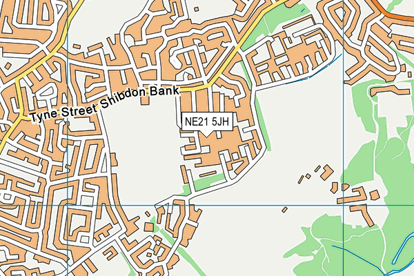 NE21 5JH map - OS VectorMap District (Ordnance Survey)