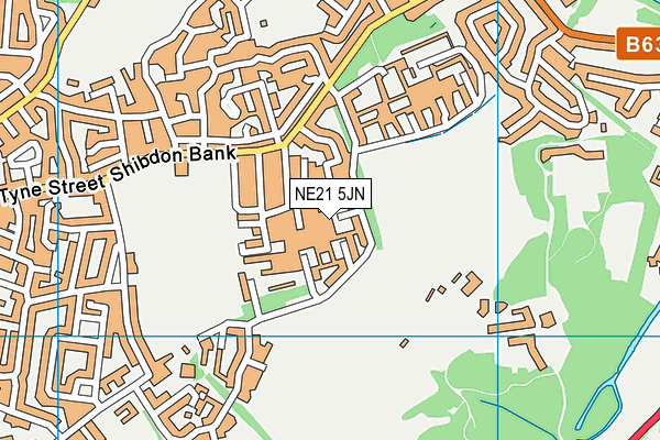 NE21 5JN map - OS VectorMap District (Ordnance Survey)