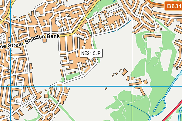 NE21 5JP map - OS VectorMap District (Ordnance Survey)