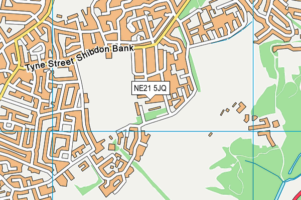 NE21 5JQ map - OS VectorMap District (Ordnance Survey)