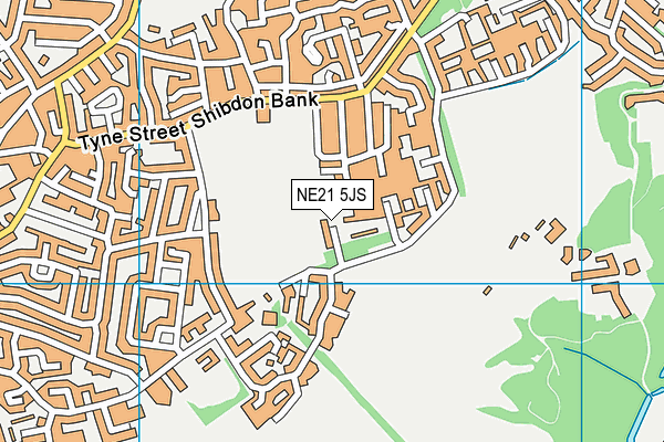 NE21 5JS map - OS VectorMap District (Ordnance Survey)