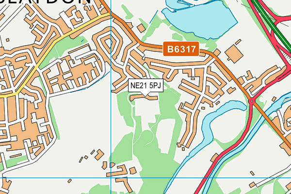 NE21 5PJ map - OS VectorMap District (Ordnance Survey)