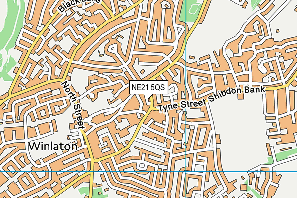 NE21 5QS map - OS VectorMap District (Ordnance Survey)