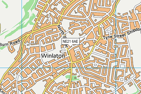 NE21 6AE map - OS VectorMap District (Ordnance Survey)