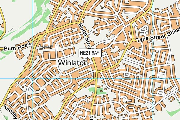 NE21 6AY map - OS VectorMap District (Ordnance Survey)