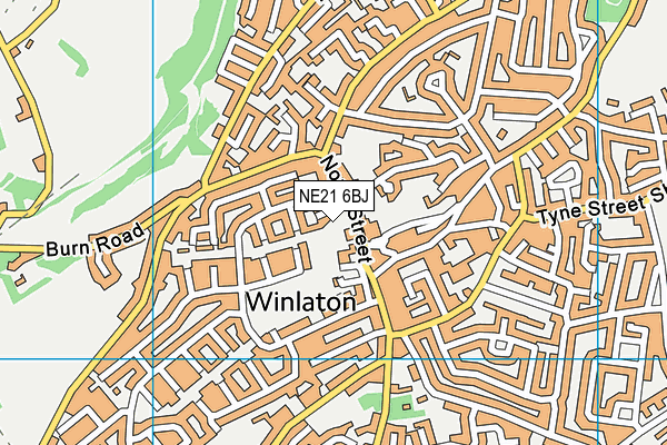 NE21 6BJ map - OS VectorMap District (Ordnance Survey)