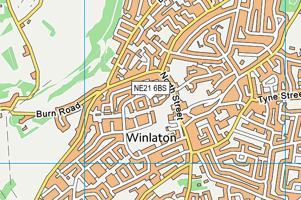 NE21 6BS map - OS VectorMap District (Ordnance Survey)