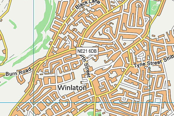 NE21 6DB map - OS VectorMap District (Ordnance Survey)