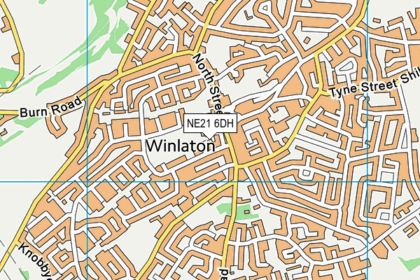 NE21 6DH map - OS VectorMap District (Ordnance Survey)