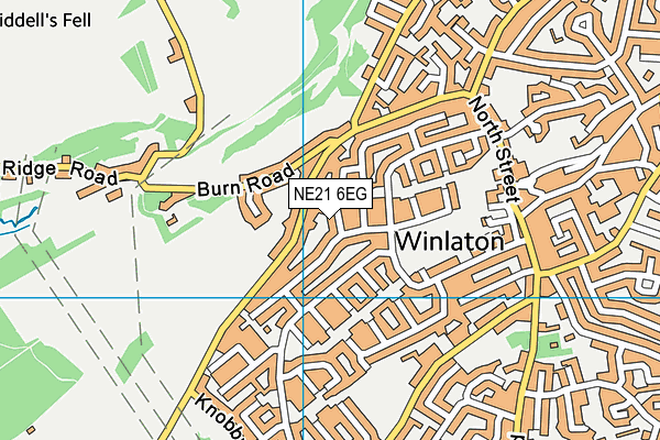 NE21 6EG map - OS VectorMap District (Ordnance Survey)
