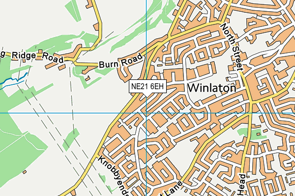 NE21 6EH map - OS VectorMap District (Ordnance Survey)