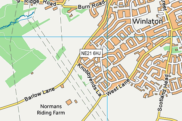 NE21 6HJ map - OS VectorMap District (Ordnance Survey)