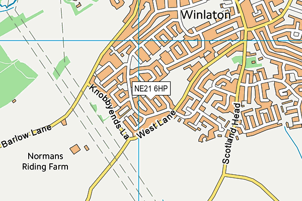 NE21 6HP map - OS VectorMap District (Ordnance Survey)