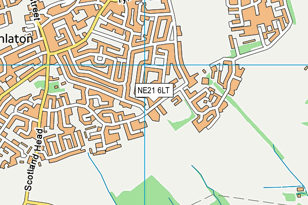 Parkhead Community Primary School map (NE21 6LT) - OS VectorMap District (Ordnance Survey)
