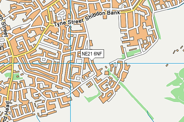 NE21 6NF map - OS VectorMap District (Ordnance Survey)