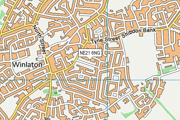 NE21 6NG map - OS VectorMap District (Ordnance Survey)