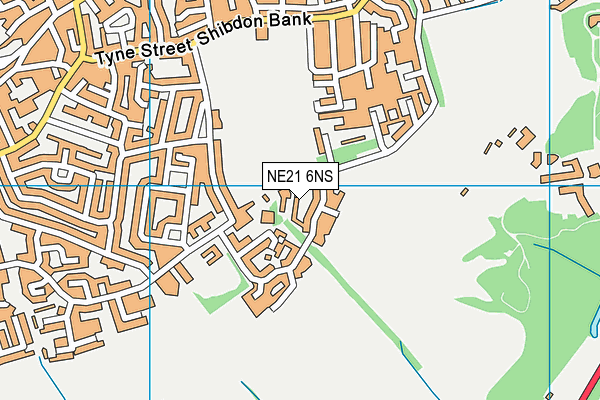 NE21 6NS map - OS VectorMap District (Ordnance Survey)