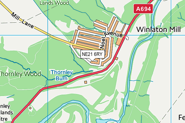 NE21 6RY map - OS VectorMap District (Ordnance Survey)